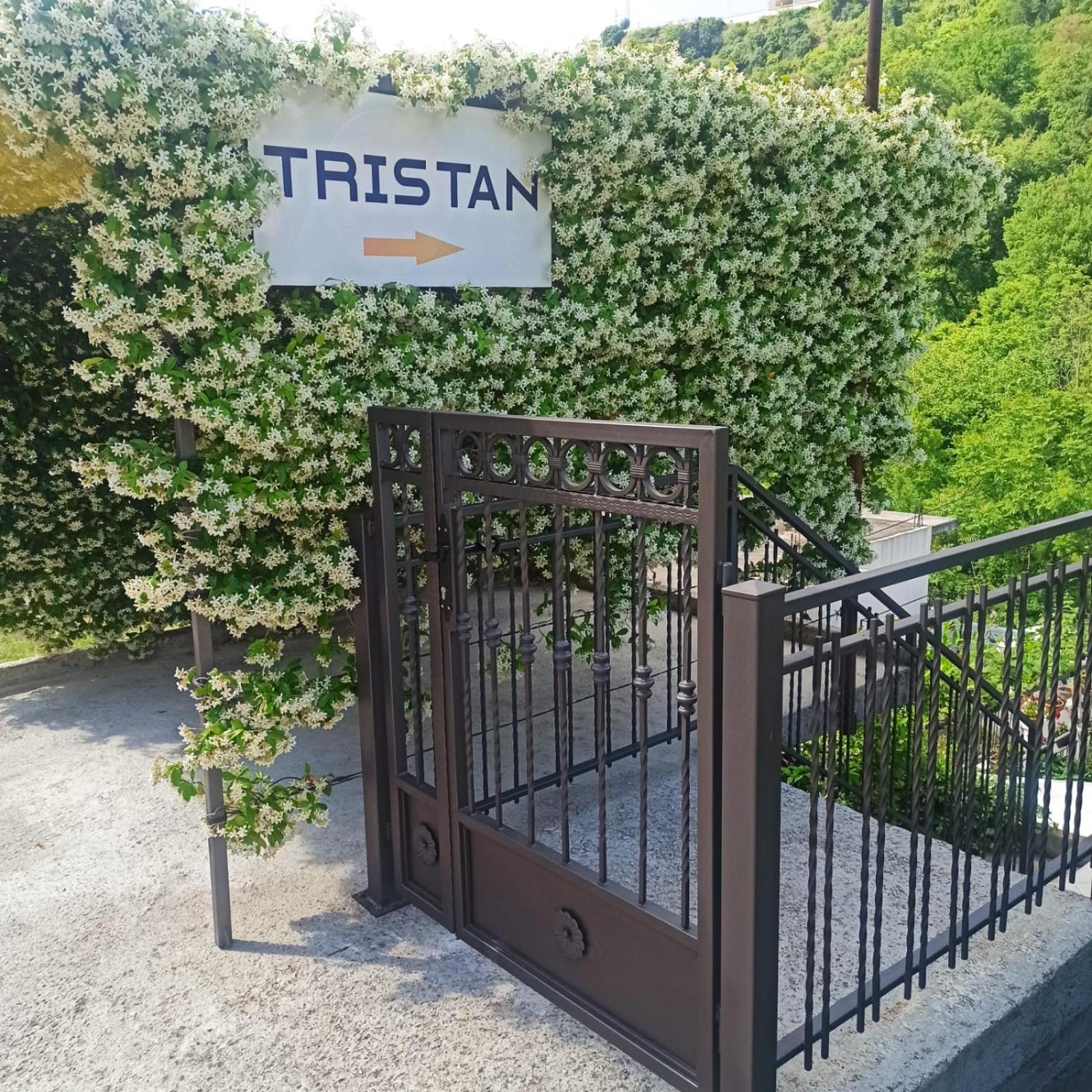 Apartman Tristan Herceg Novi Exterior photo